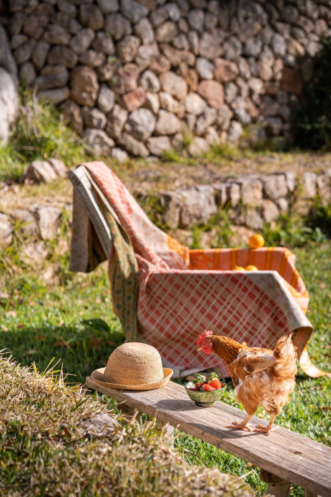 Agroturismo Son Viscos ไบเดมอสซา ภายนอก รูปภาพ