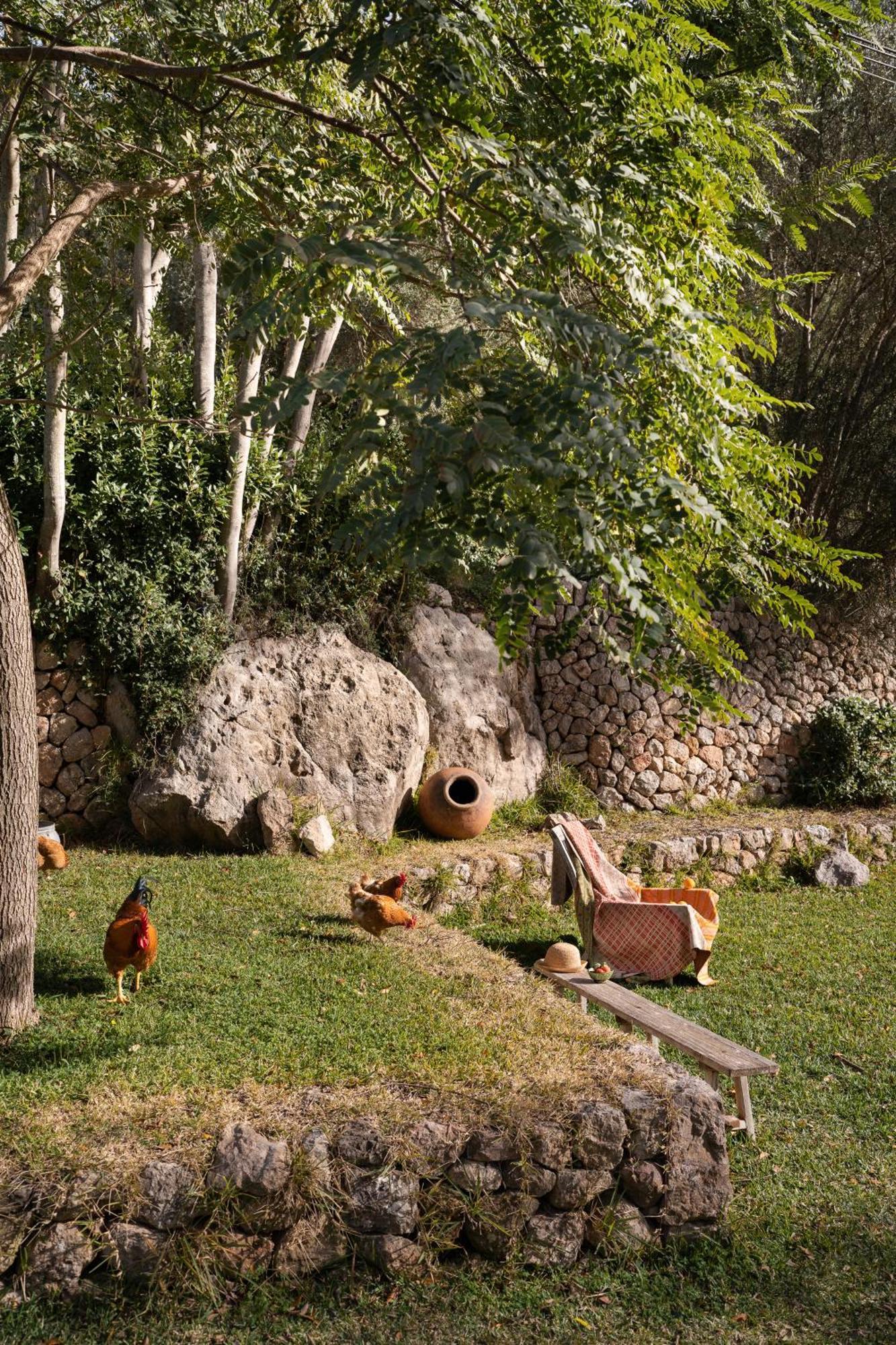 Agroturismo Son Viscos ไบเดมอสซา ภายนอก รูปภาพ